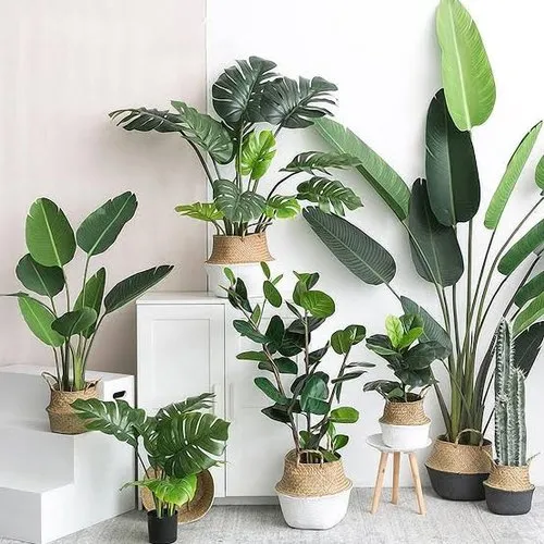 Urban Oasis Series (50% Discount!)