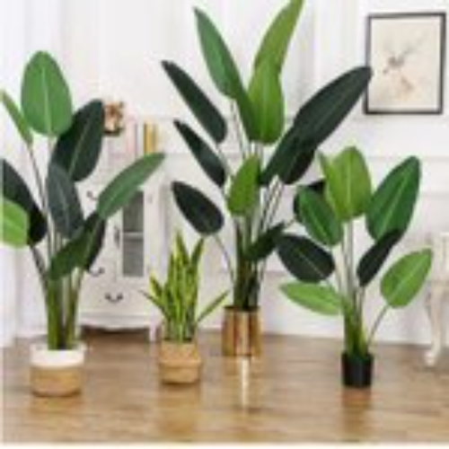 Indoor Artificial Plants