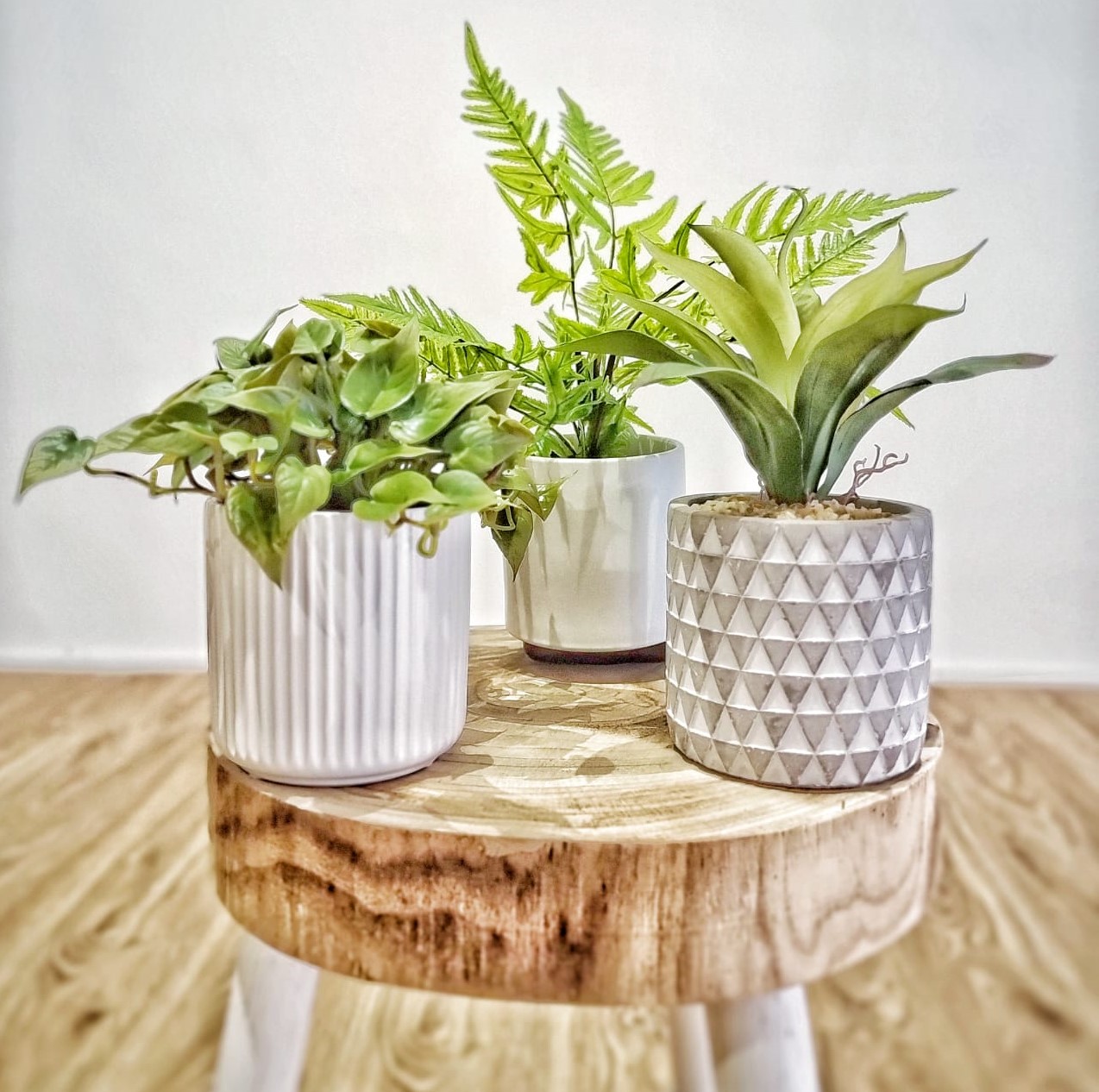 Table-Size Artificial Plants