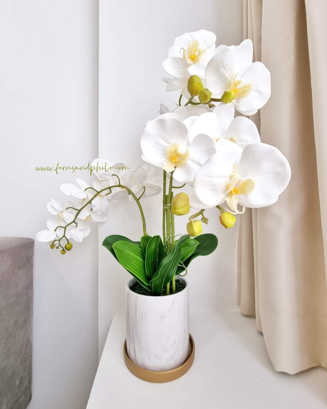 Orchids &amp; Flowers
