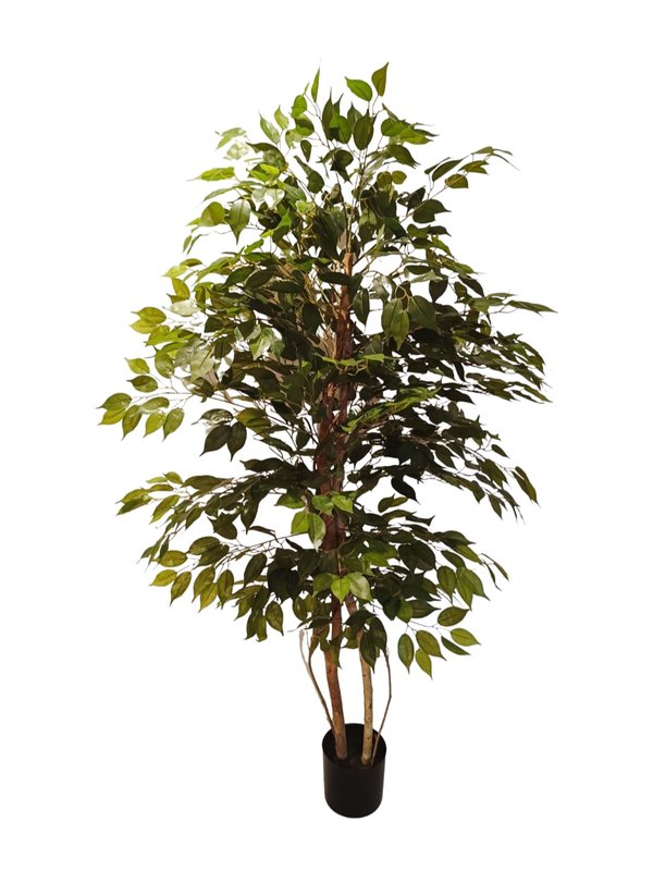 Ficus Plant Tree 1.7m (Small Leaves) - Faux