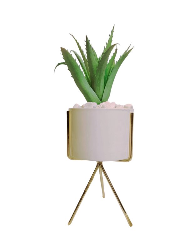 Hohenbergia Plant With White Pot & Gold Stand (Green) - Table Size (Faux)