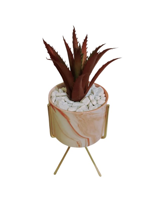 Hohenbergia Plant With Pink Pot & Gold Stand (Red) - Table Size (Faux)