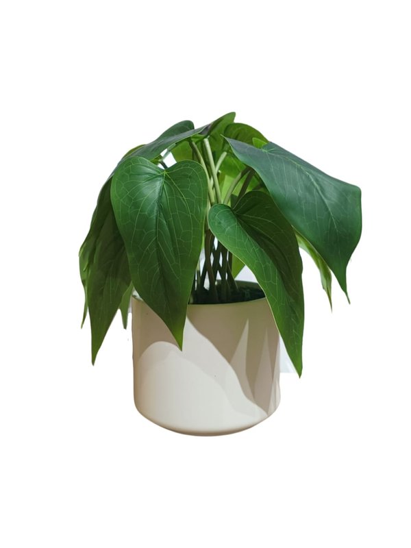 Philodendron Cordatum Plant With White Pot - Table Size (Faux)