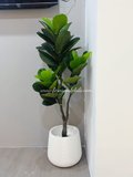 1.2m Ficus Plant - Faux