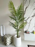 Palm Tree Plant 1.8m - Faux 