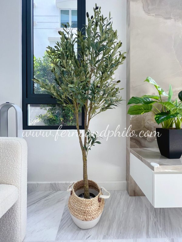 Olive Plant Tree 1.8m - Faux