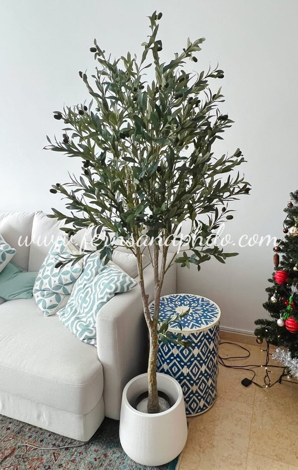 Olive Plant Tree 1.8m - Faux