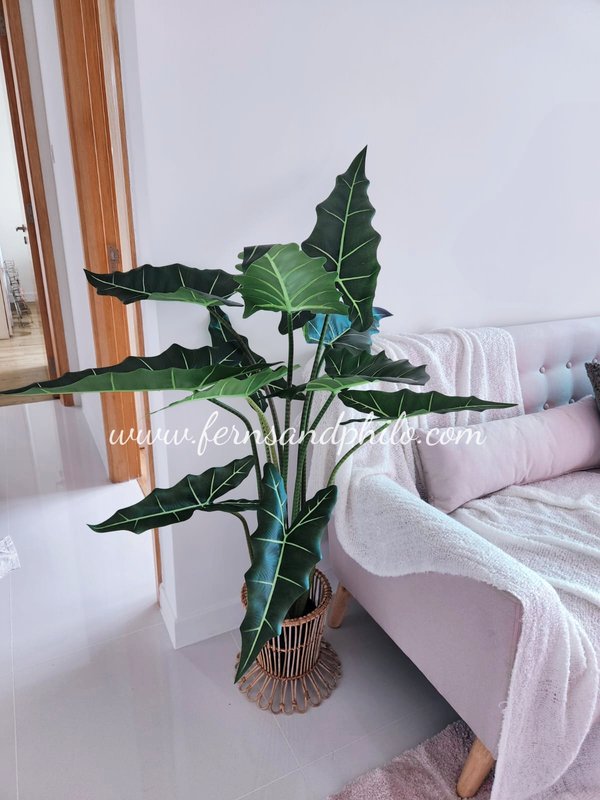 Alocasia Plant 1.3m - Faux