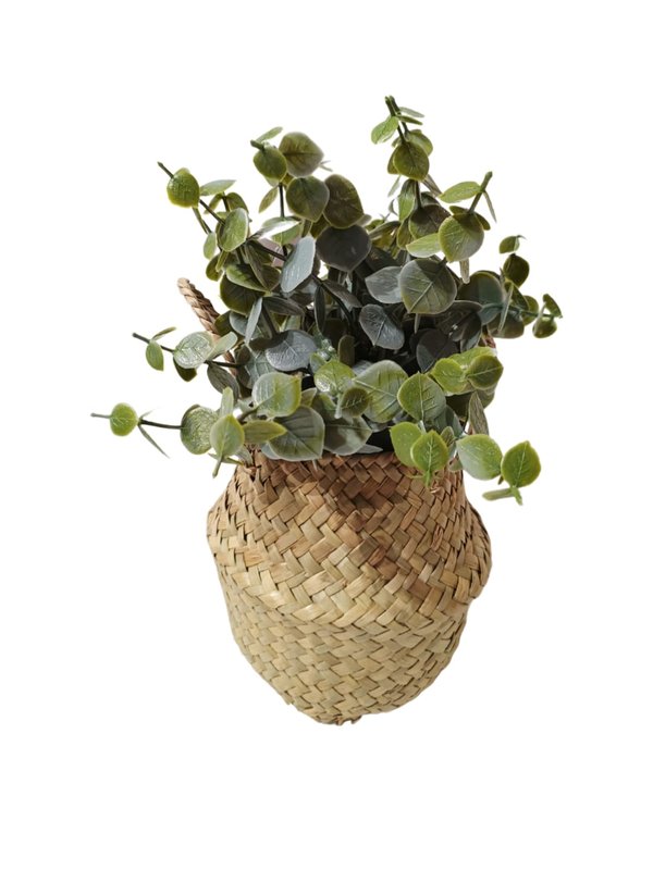 Eucalyptus Plant With Handle Basket - Table Size (Faux)