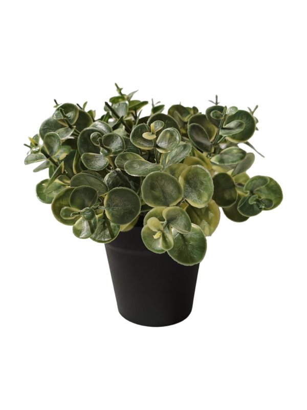 Eucalyptus Plant With Black Pot - Table Size (Faux)