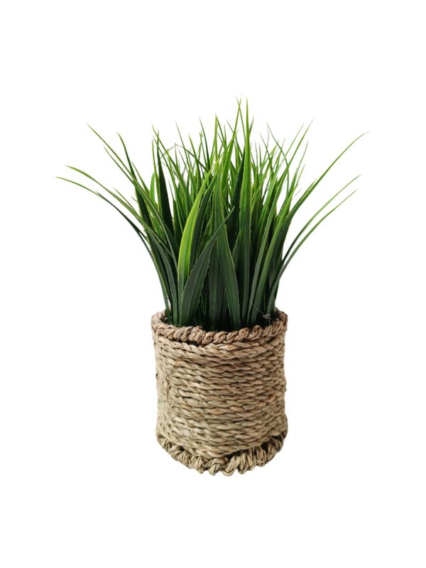 Wheatgrass Plant With Scandi Pot - Table Size (Faux) 
