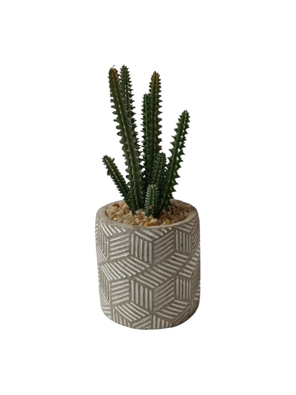 Euphorbia Spiralis Plant With Grey Pot (Cactus) - Table Size (Faux)