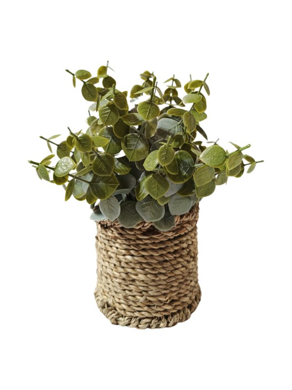 Eucalyptus Plant With Scandi Pot - Table Size (Faux) 