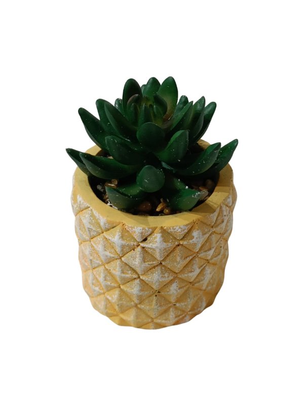 Pachyphytum Plant With Yellow Pot - Table Size (Faux)