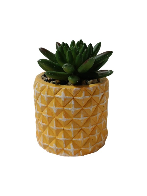 Pachyphytum Hookeri Plant With Yellow Pot - Table Size (Faux)