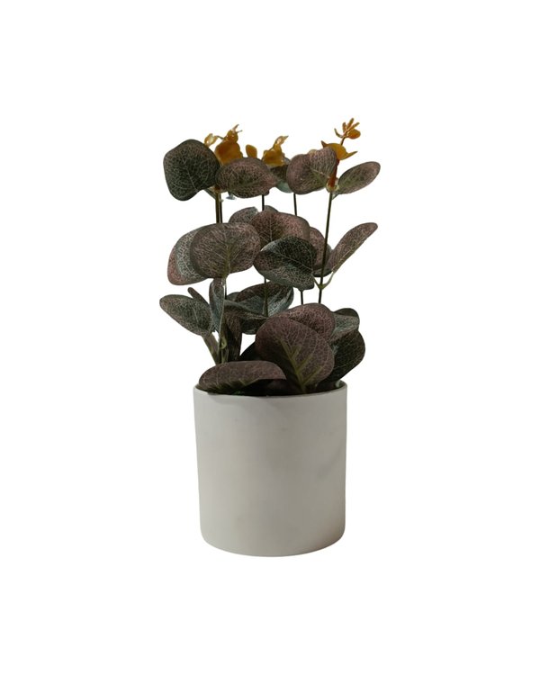 Eucalyptus Plant With White Pot (Purple) - Table Size (Faux)