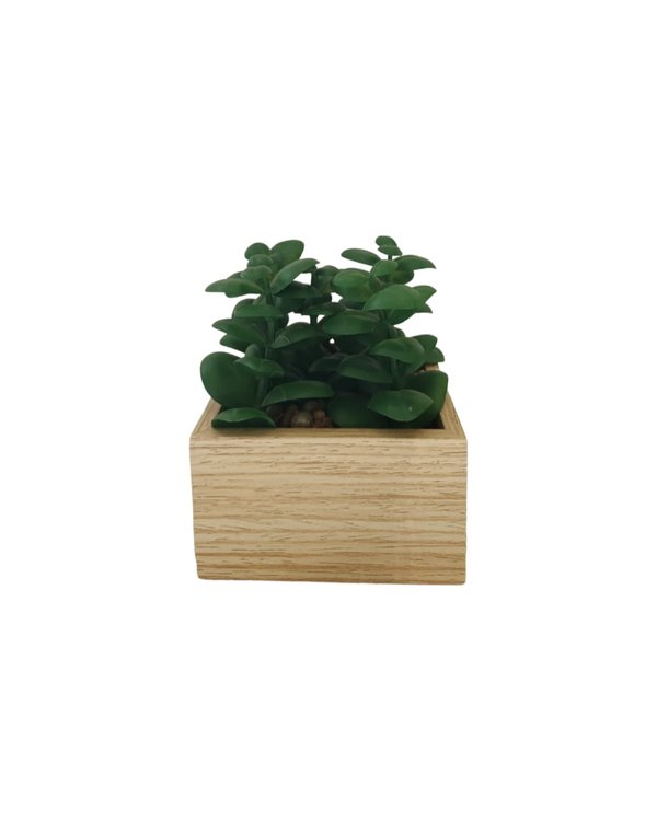 Jade Plant With Wooden Pot - Table Size (Faux)