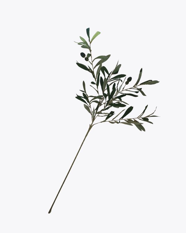 Olive (Stalk) - Faux