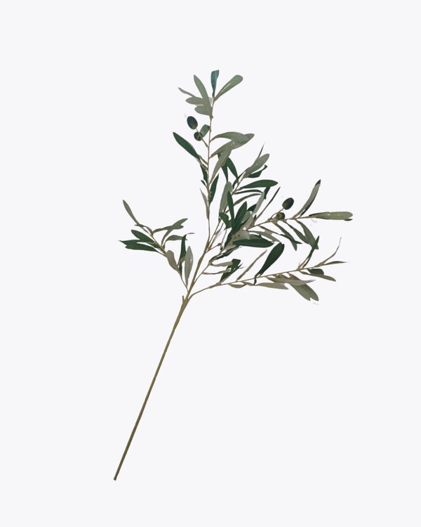 Olive (Stalk) - Faux