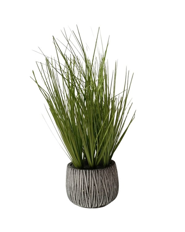 Wheatgrass Plant With Design Pot - Table Size (Faux) 