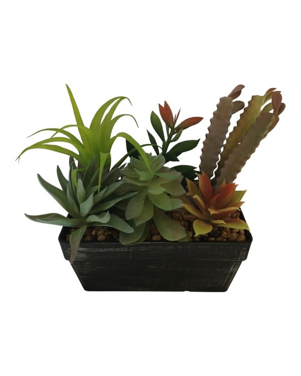 Multiple Agave Plants With Black Pot - Table Size (Faux)
