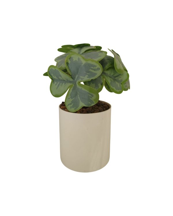 Clove Plant With White Pot Table Size - (Faux)