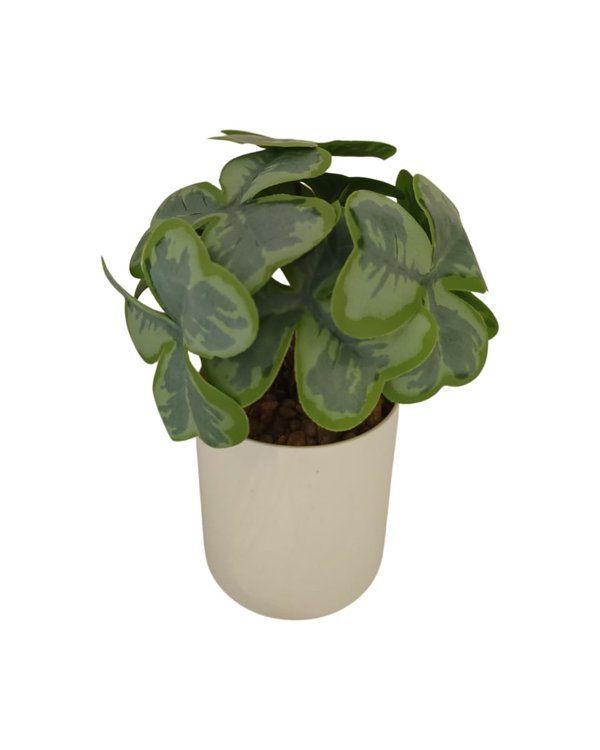 Clove Plant With White Pot Table Size - (Faux)