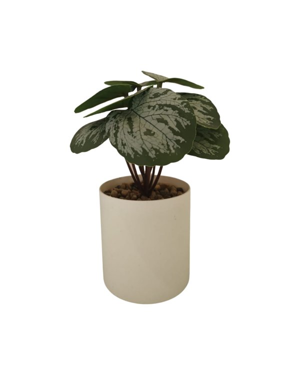 Piper Ornatum Plant With White Pot - Table Size (Faux)