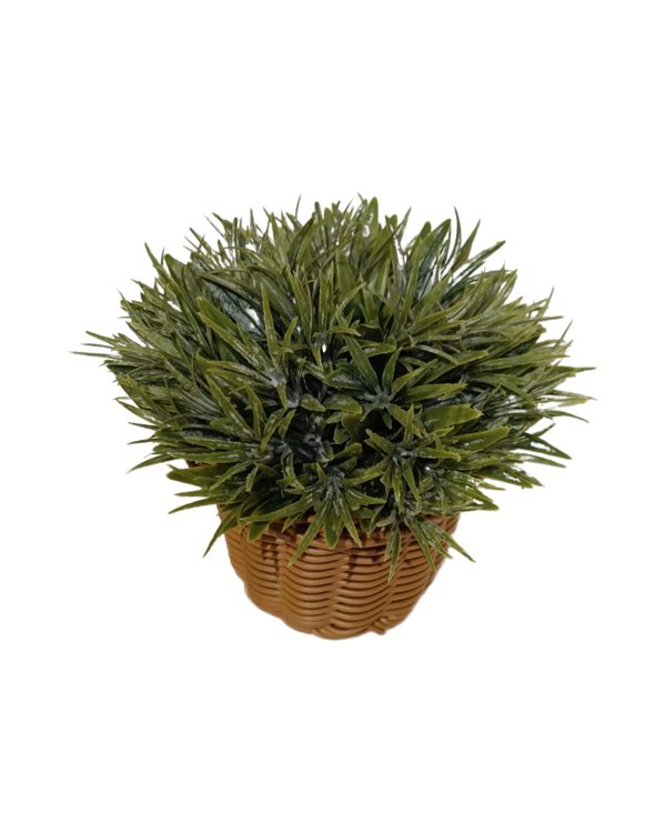 Apricot Plant With Basket - Table Size (Faux)