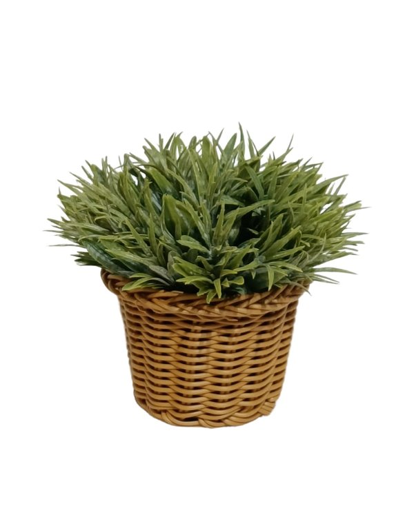 Apricot Plant With Basket - Table Size (Faux)