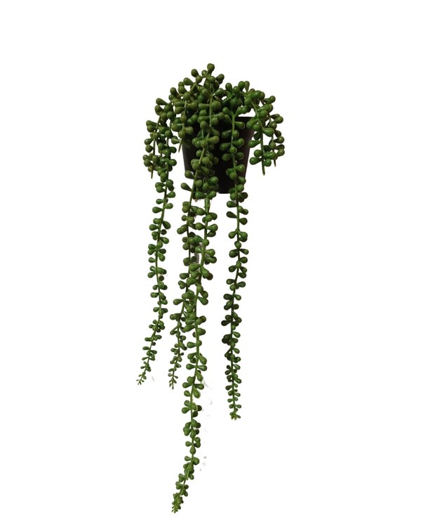 Hanging String-Of-Pearls Plant - Faux
