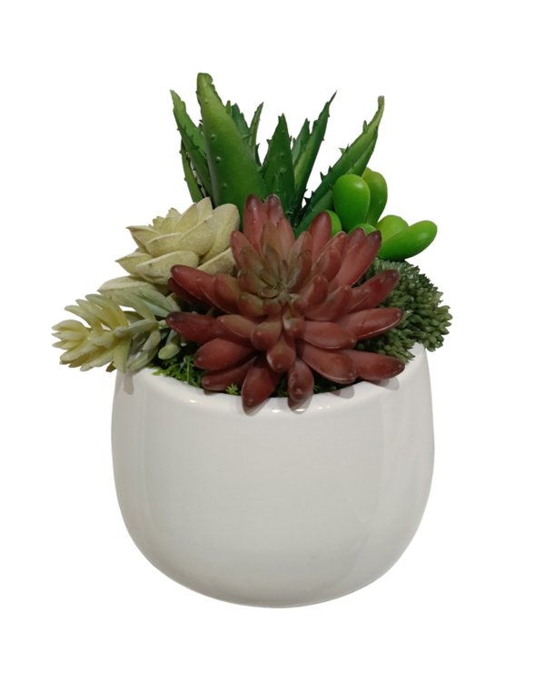Multiple Agave Plants With White Round Pot (Red) - Table Size (Faux)