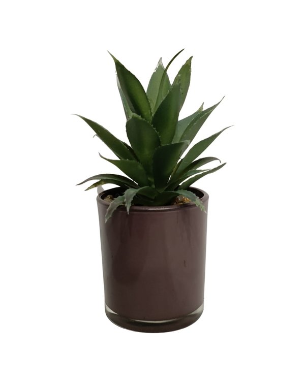 Agave Chiapensis Plant With Brown Pot - Table Size (Faux)