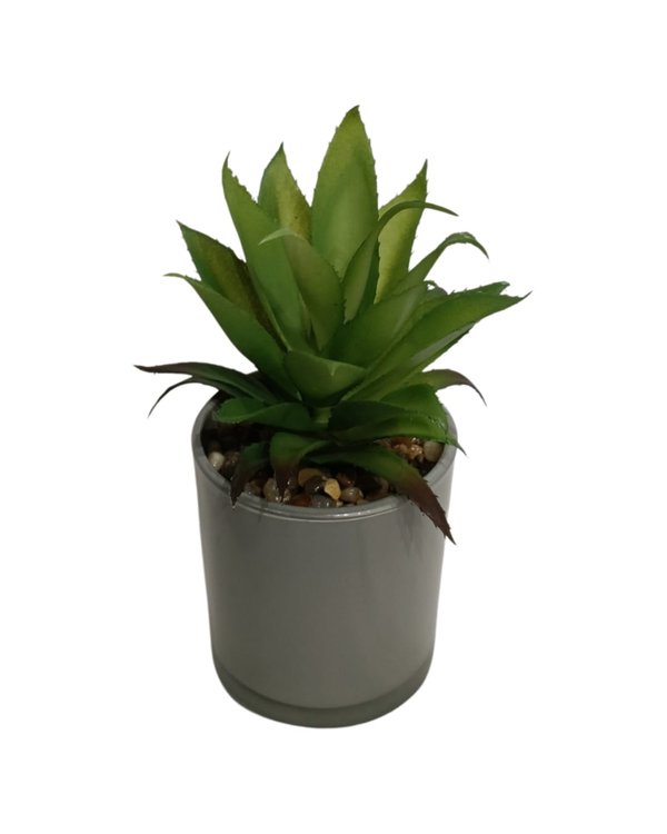 Agave Chiapensis Plant With Blue Pot - Table Size (Faux)