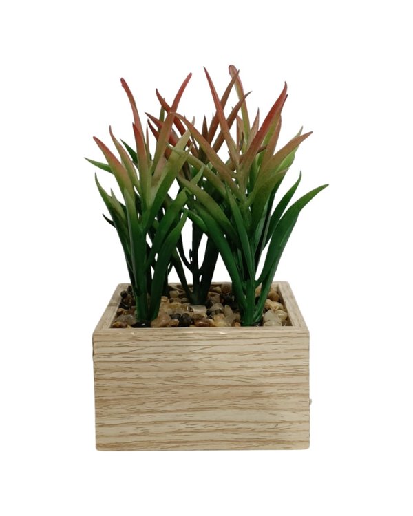 Succulent Plant With Wooden Pot - Table Size (Faux)