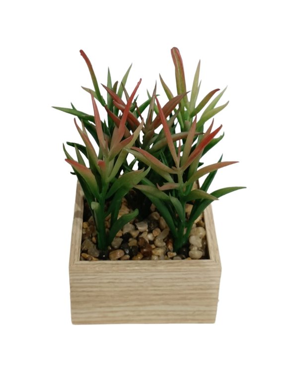 Succulent Plant With Wooden Pot - Table Size (Faux)
