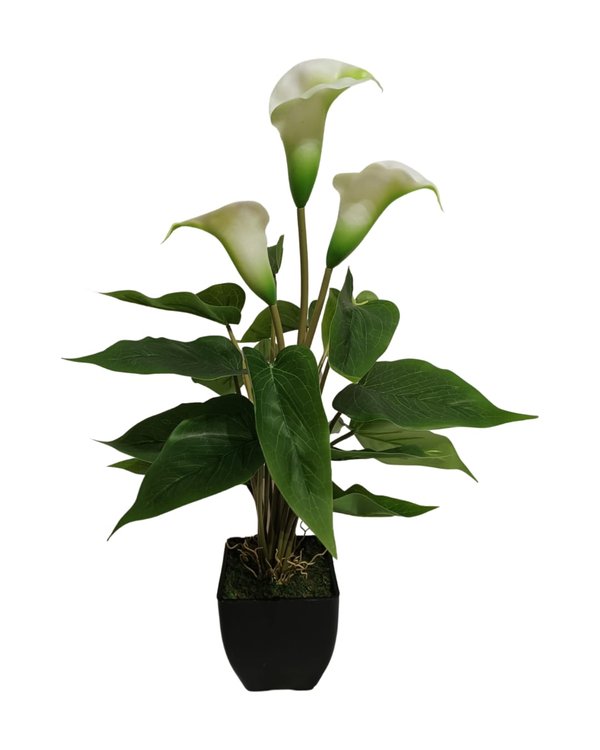 Arum-Lily Plant With Black Pot (Green) - Table Size (Faux)