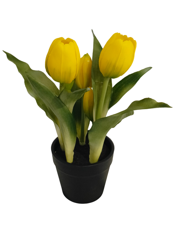 Yellow Tulip Plant With Black Pot - Table Size (Faux)