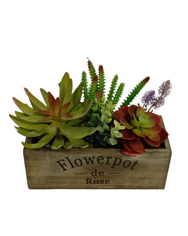 Multiple Agave Plants With Design Pot - Table Size (Faux)