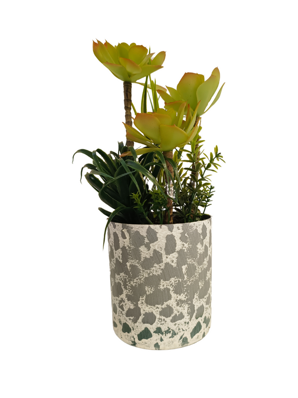 Tree houseleek With Cylinder Pot - Table Size (Faux)