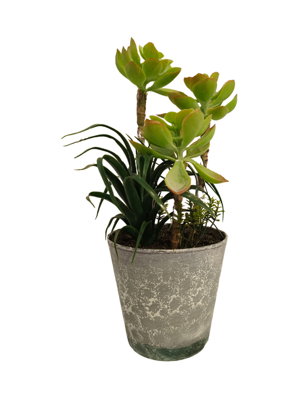 Tree houseleek With Cone Pot - Table Size (Faux)