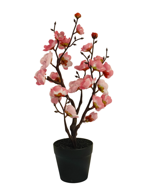 East Asian Cherry Plant With Black Pot - Table Size (Faux)