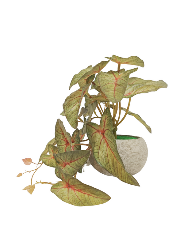 Mini Hanging Leaves (Caladium) - Faux
