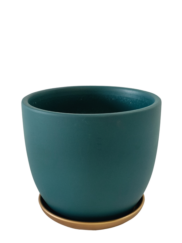 Bowl Design Pot With Plate (Green)