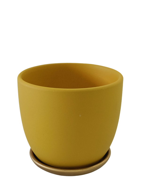 Bowl Design Pot With Plate (Yellow)