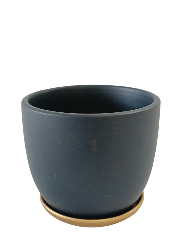 Bowl Design Pot With Plate (Black)