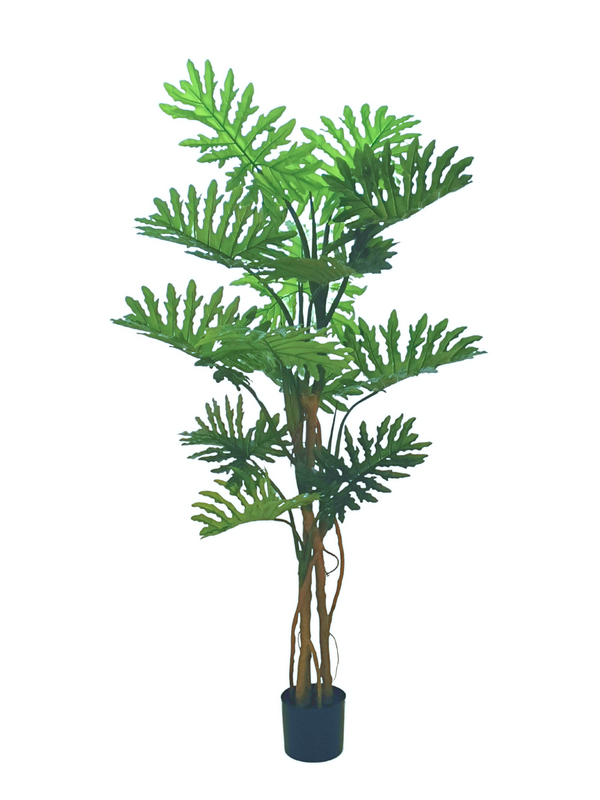 Split Leaf Philodendron Plant 5ft - Faux