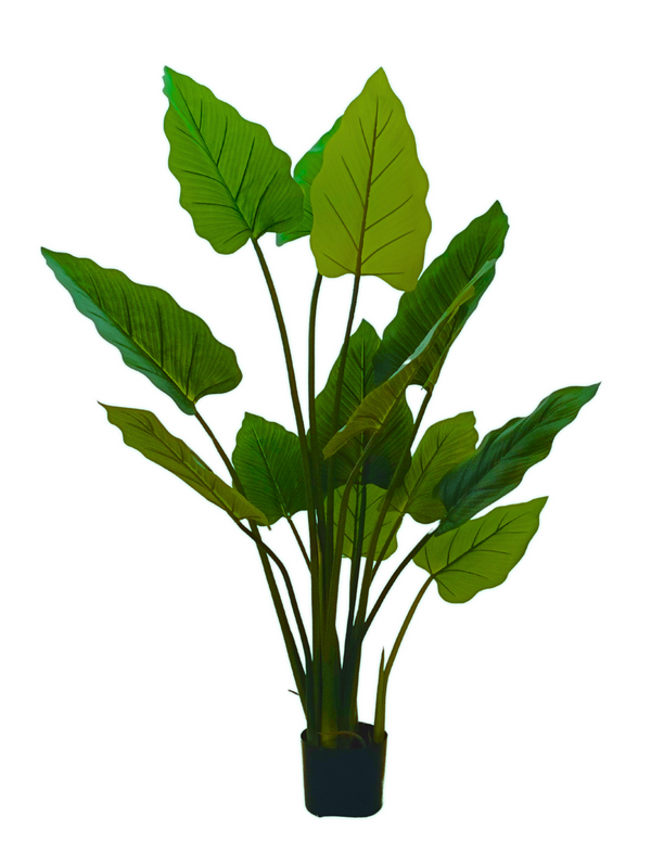 Colocasia Plant 1.5m (Taro Plant) - Faux