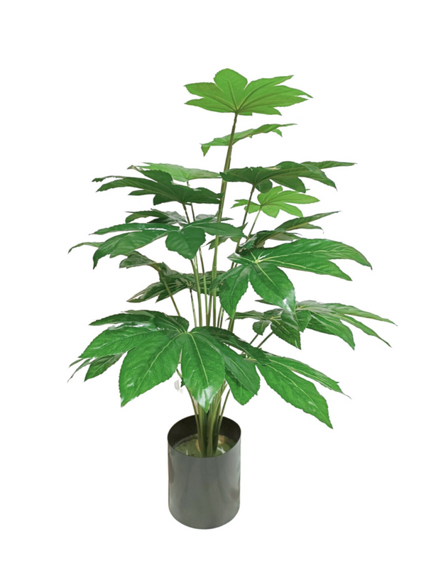 Money Plant 0.7m (Pachira Aquatica) - Faux